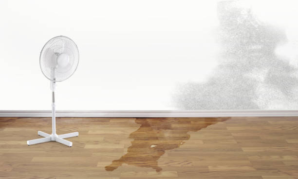 Carpet water damage restoration in VA
