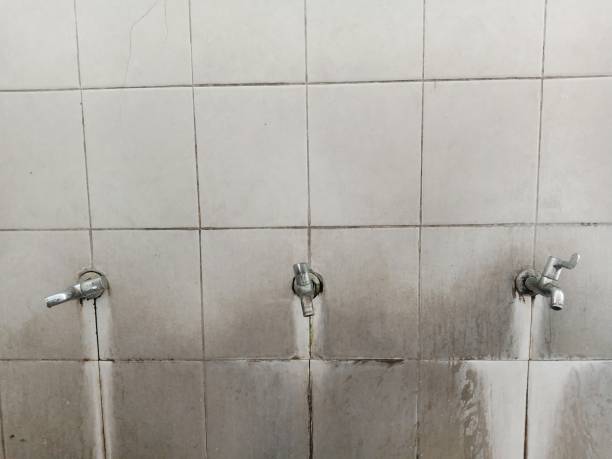 Best Ceiling water damage repair  in Cape Charles, VA