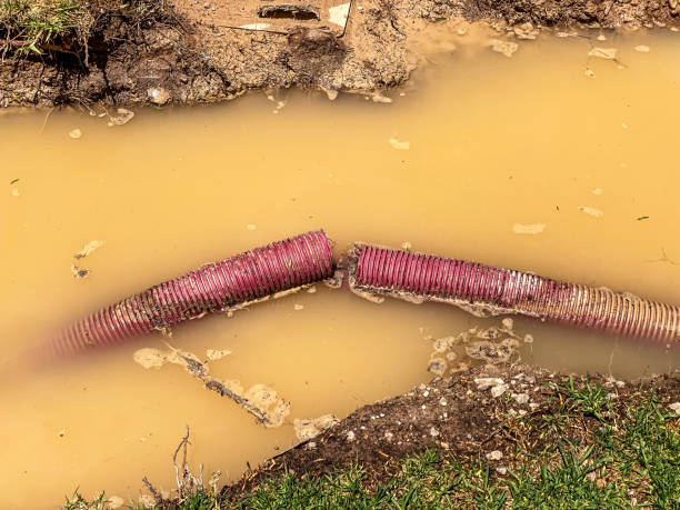 Best Local water damage restoration  in Cape Charles, VA