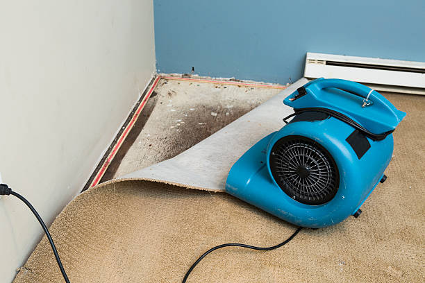 Best Emergency water damage restoration  in Cape Charles, VA